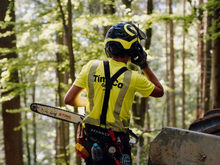 Die Mitarbeiter der TimbCo GmbH