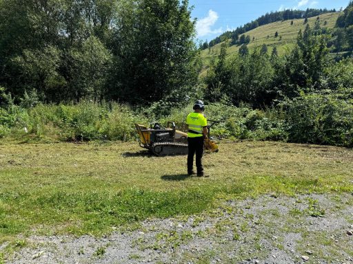 Mitarbeiter der TimbCo GmbH bei der Arbeit